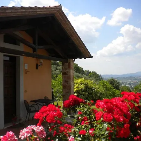 I Barbini Sleeps 2 Pool Wifi T762384 Collemancio